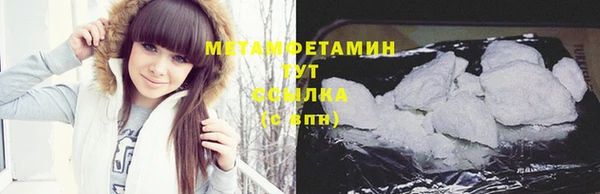 PSILOCYBIN Дмитриев