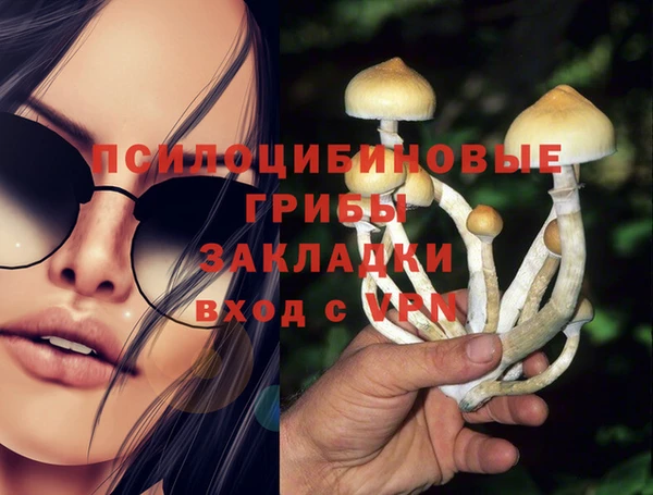 бутират Алексин