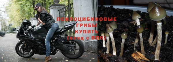 прущий лед Алзамай