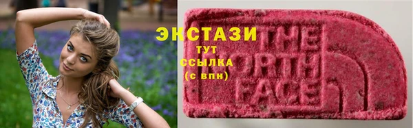 прущий лед Алзамай