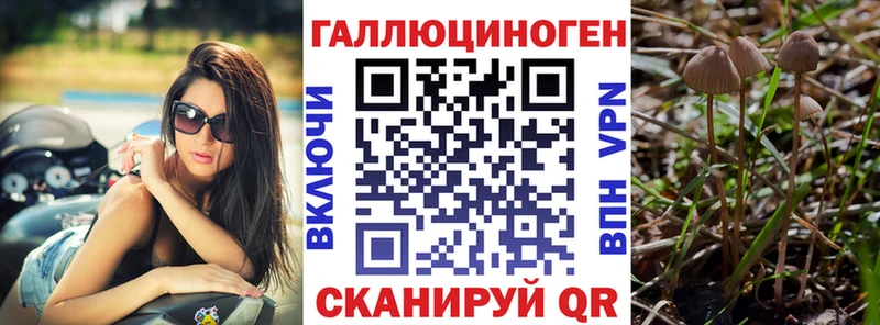 Псилоцибиновые грибы Magic Shrooms  Крымск 